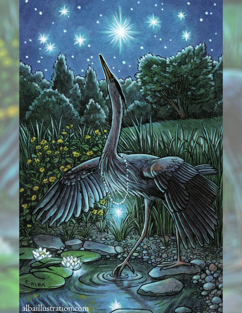 Ink, watercolor, and acryla gouache illustration of a Great blue Heron with one foot stepping into a pond, wings outstretched, and head lifted toward the sky. There are bright stars in the sky, she wears a glowing star necklace, and there are flowers and forest in the background and glowing water lilies in the pond.