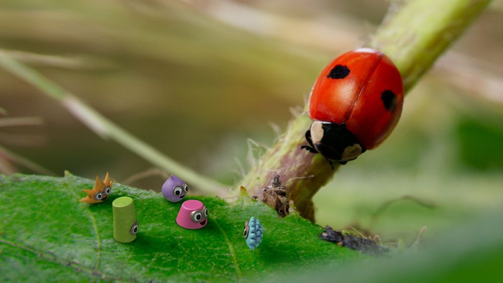 Ladybird on the stalk of a plant, with tiny toy shapes sitting on a leaf next to it