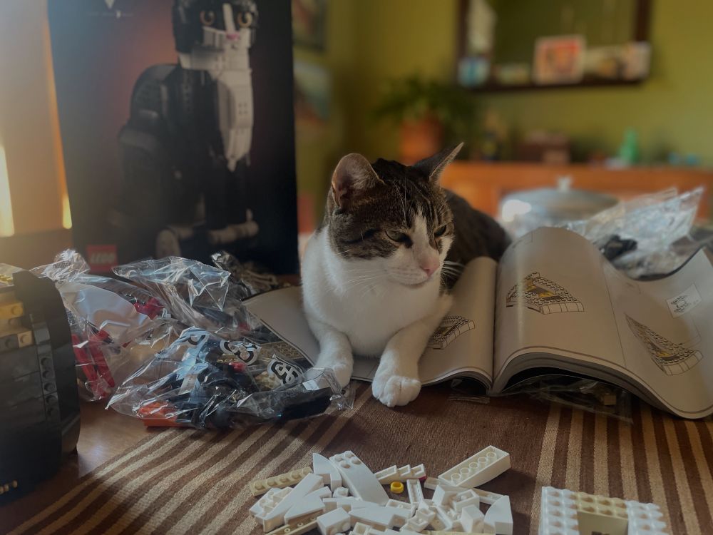 Cat sitting in pile of legos