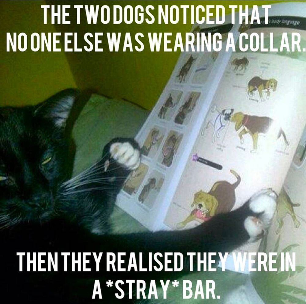 Comment image