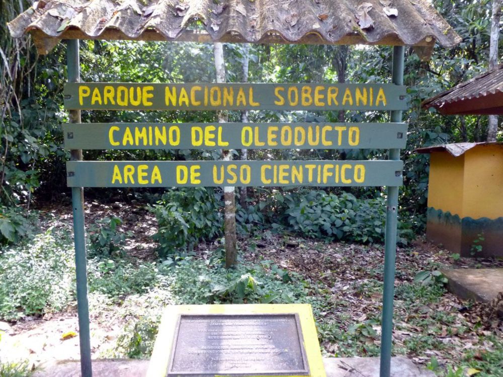 Locked Inside Panama's Soberanía National Park