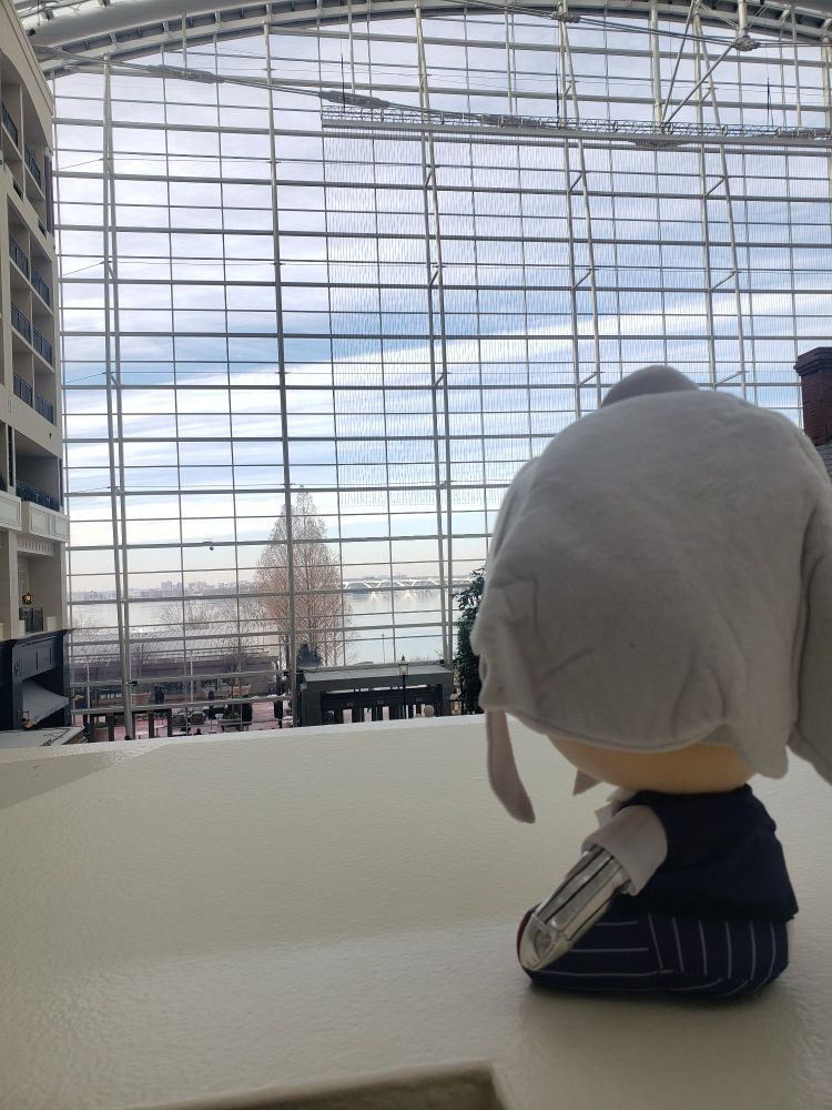 Dana Zane thoughtly considers the ramifications of hotel lobbies as extremely crowded con venues