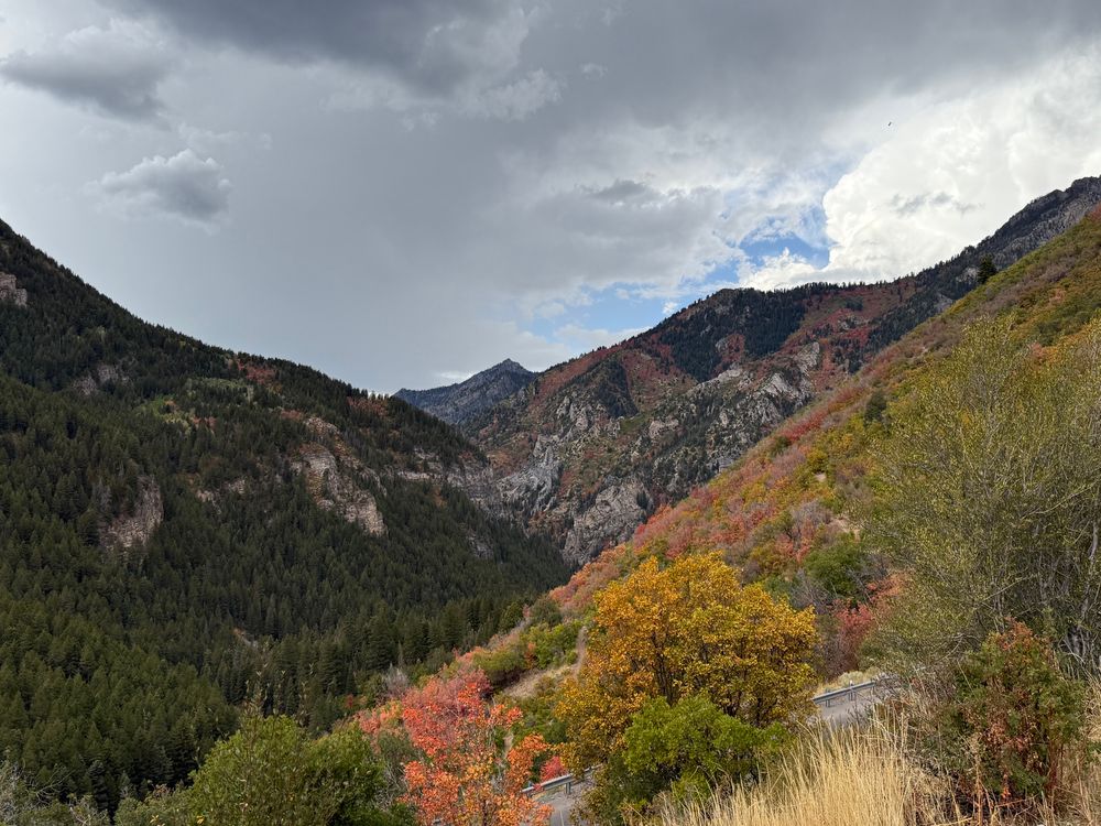 Photo of a mountain pass. The leaves in the trees to the right are green, red & orange. Trees to the left side of the pass are green. Photo on the Alpine Switchback trail near Orem, Utah.