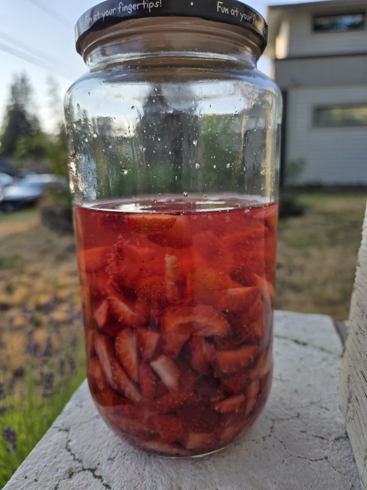 A large jar half filled with sliced strawberries and two-thirds filled with a liquid the same color as the strawberries.