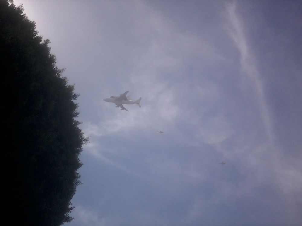 A plane carrying the space shuttle Endeavour over Disneyland. The sky is covered with a thin web of clouds and the plane is about to disappear behind a tree.