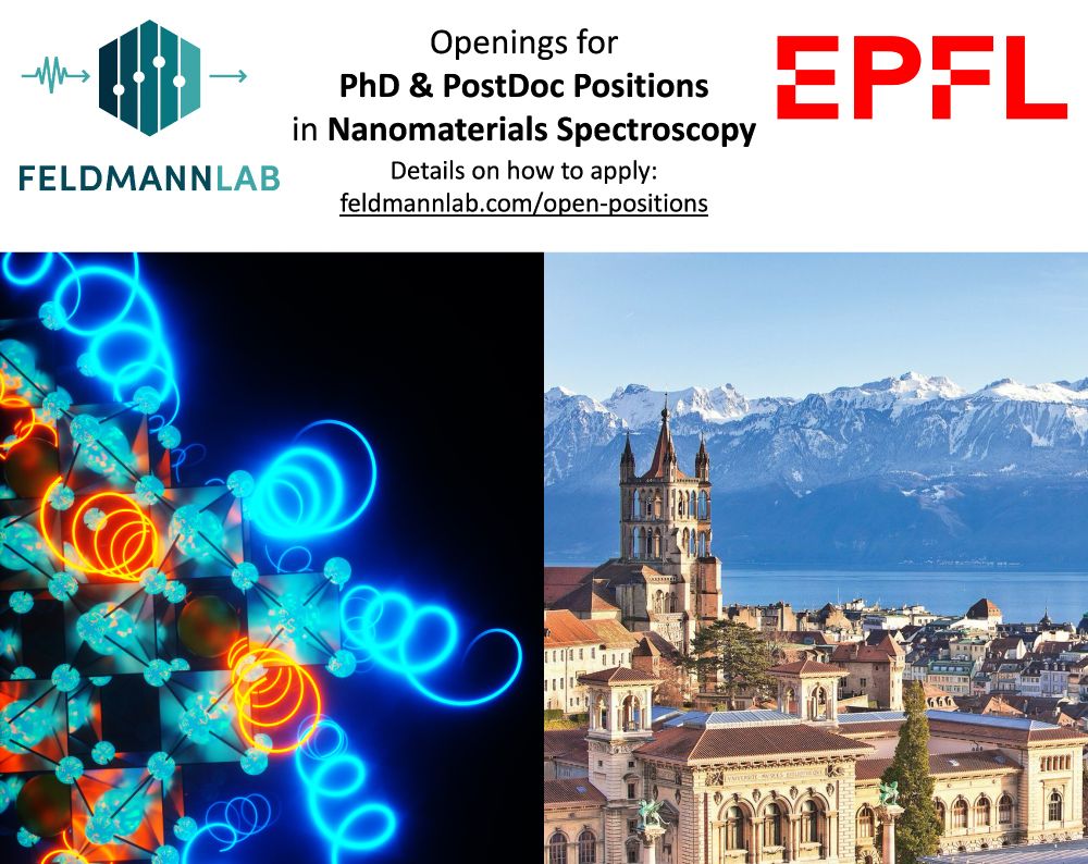 Feldmann Lab at EPFL is hiring at PhD and Postdoc Level in Spectroscopy and Nanomaterials