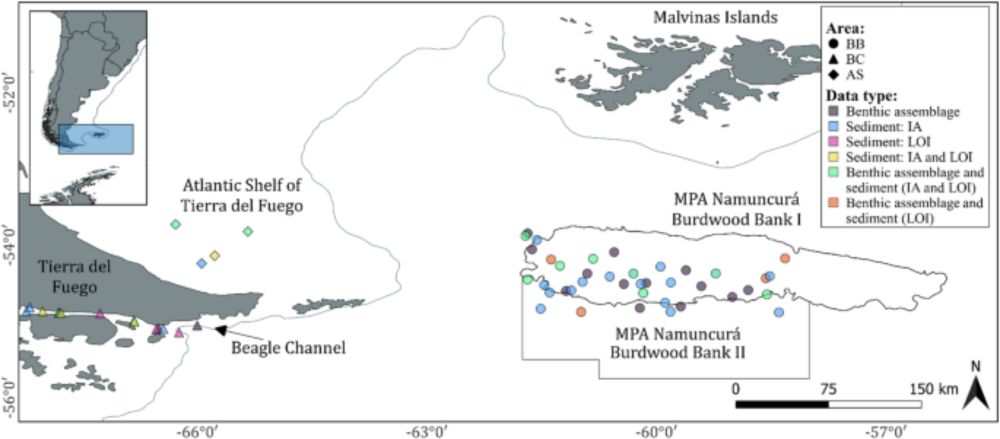 Blue carbon storage in a sub-Antarctic marine protected area - Scientific Reports