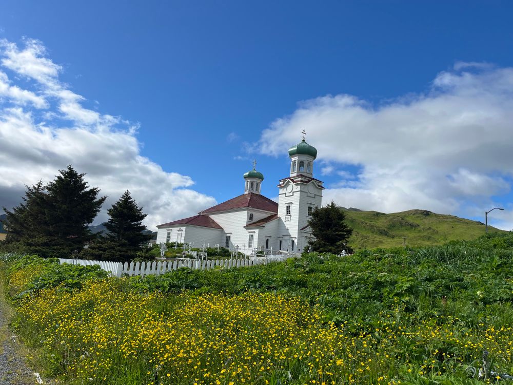 Russian orthodox cathedral in Dutch Harbor, Unalaska. It is a clear day, with bright blue sky, white fluffy clouds, and in the foreground a hill of yellow wildflowers similar to buttercups
