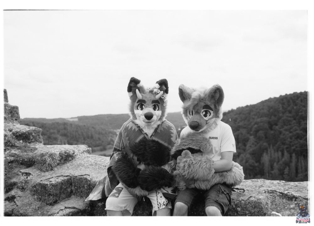 Black-and-white analogue photo of two fursuiters sitting on a stone wall with a forested valley in the background. On the left is a fox-dragon hybrid (Drox) wearing a patterned poncho and a flower crown, with big fluffy paws resting together. On the right is a fox fursuiter in a T-shirt and shorts, holding their paws together on their lap. Both look relaxed and cozy, sharing a quiet moment outdoors.