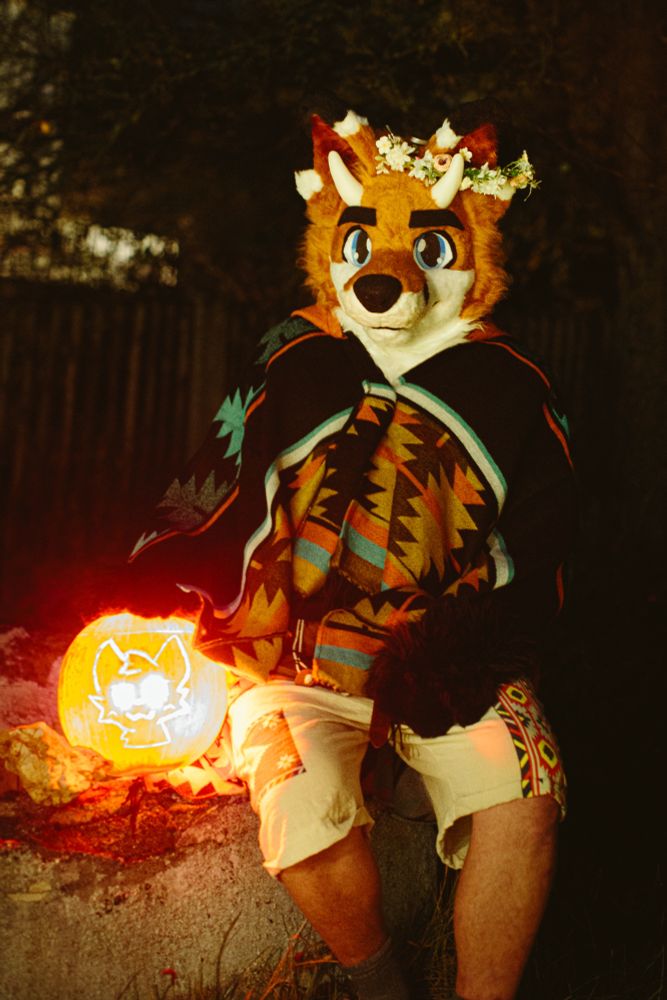 A person wearing a Drox fursuit with orange and white fur, blue eyes, and small horns on their head is sitting outdoors at night. They wear a colorful poncho with geometric patterns and light shorts decorated with tribal-style fabric patches. A flower crown sits on their head. Beside them glows a carved pumpkin with a stylized Boikisser face illuminated from inside. The scene is warmly lit, giving a cozy autumn and Halloween feeling.