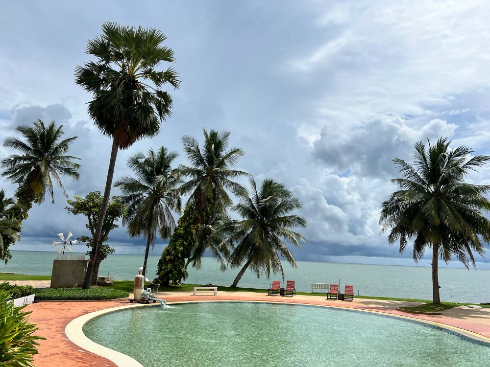 Pool with palm trees and sea with lovely clouds 