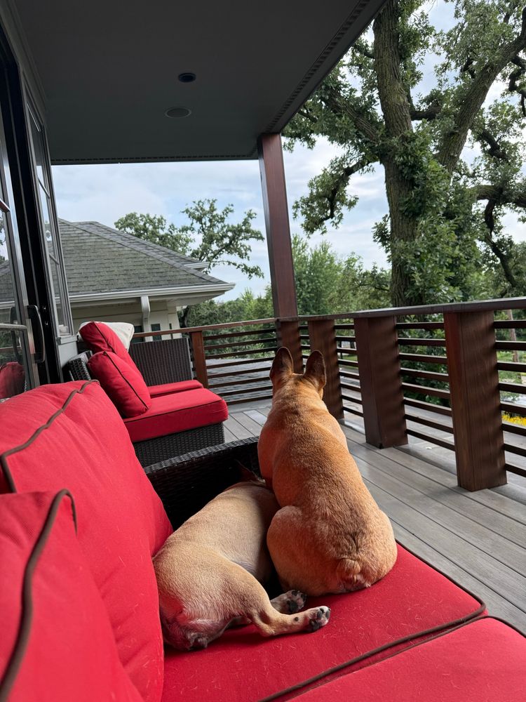 Little sister just checking the weather 