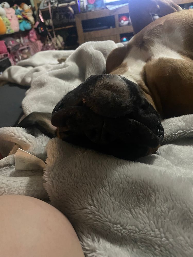 Another pic of Ralphie