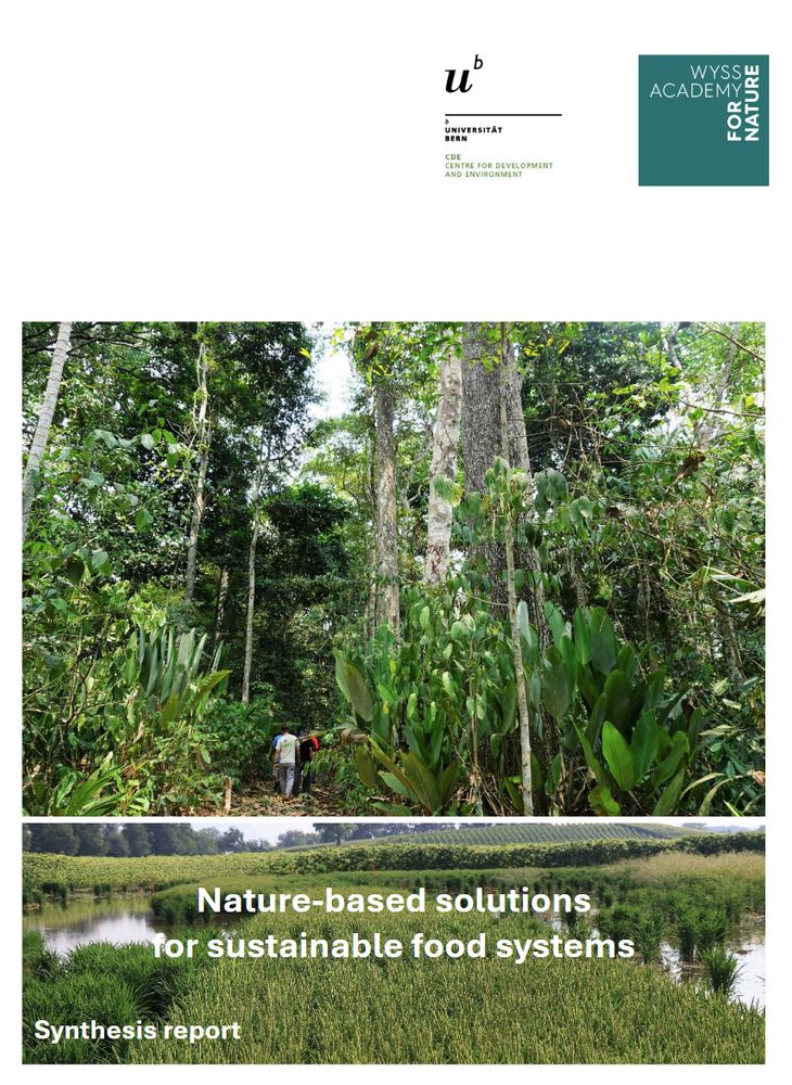Cover of the report showing a tropical forest