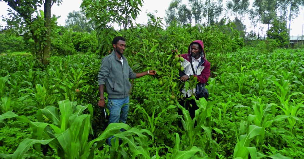 Protecting land and water in Ethiopia