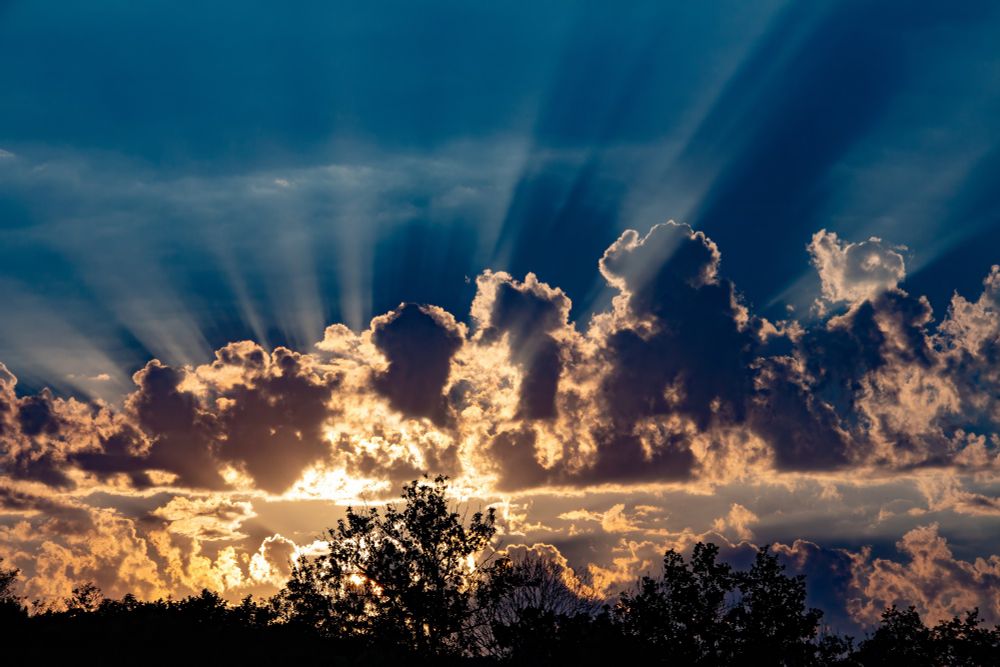 Das Bild zeigt eine dramatische Himmelszenerie, geprägt von einer mächtigen Wolkendecke, durch die Sonnenstrahlen brechen und sichtbare Lichtstrahlen formen. Diese Lichtstrahlen, auch bekannt als Krepuskularstrahlen, durchstoßen die Lücken in den Wolken und schaffen ein beeindruckendes Spiel aus Licht und Schatten. Die tief stehende Sonne, die sich am Bildrand befindet, ist teilweise von Wolken verdeckt, was zu dem Gegenlichteffekt führt und die Wolkenränder golden einfärbt. Am unteren Rand des Bildes sieht man die dunklen Silhouetten von Bäumen, die gegen den hell erleuchteten Himmel abgehoben sind.