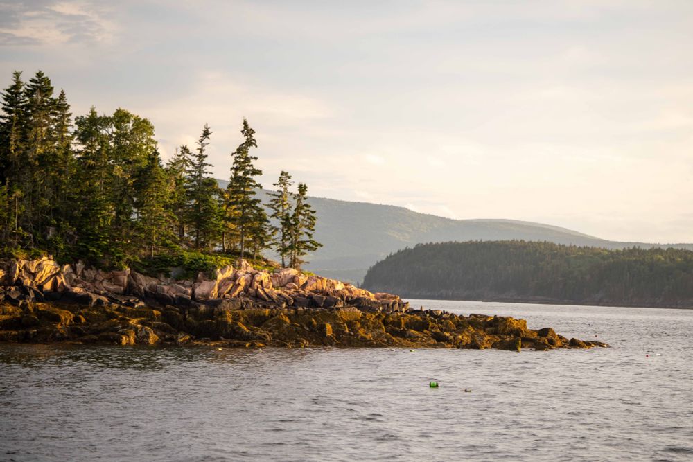 A photo of an island in Mt Desert Narrows. 