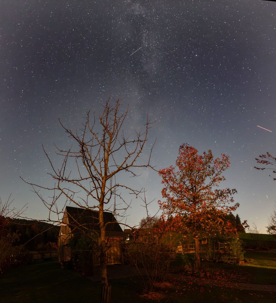 A rural nighttime scene with leafless trees and a wooden house in the foreground. The sky is filled with stars, with faint streaks suggesting meteors or satellites. The Milky Way is visible stretching vertically across the sky, adding to the serene and celestial atmosphere.