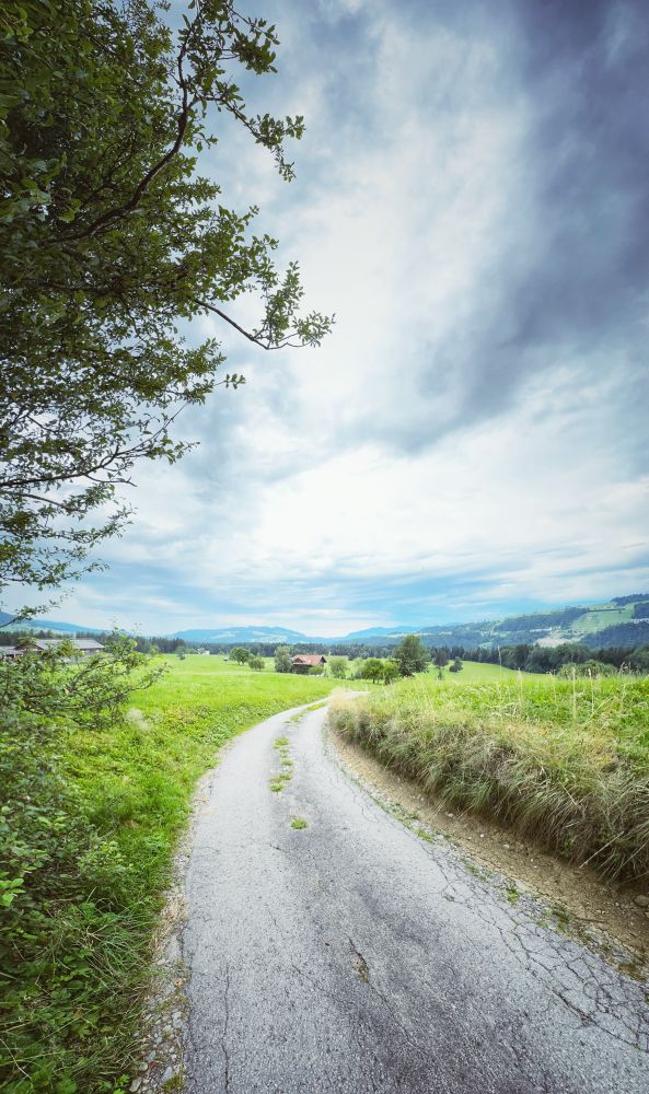 A narrow, winding country road leads through lush green fields under a cloudy blue sky, with distant hills and a farmhouse visible in the background. Tree branches frame the left side of the image.