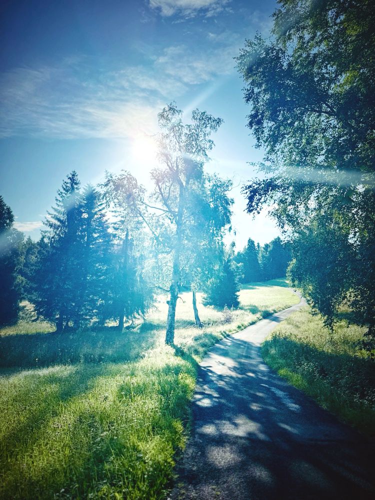 A scenic countryside path winding through a sunlit meadow surrounded by tall trees, with rays of morning sunlight streaming through a partly cloudy blue sky.