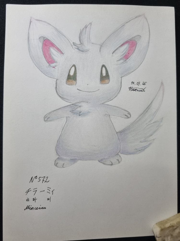 A picture of a Pokemon Minccino standing, drawn with colored pencils. On the left lower corner of the paper are written the dex number of the Pokemon and its name in three languages (Japanese, Korean, English from top to bottom).