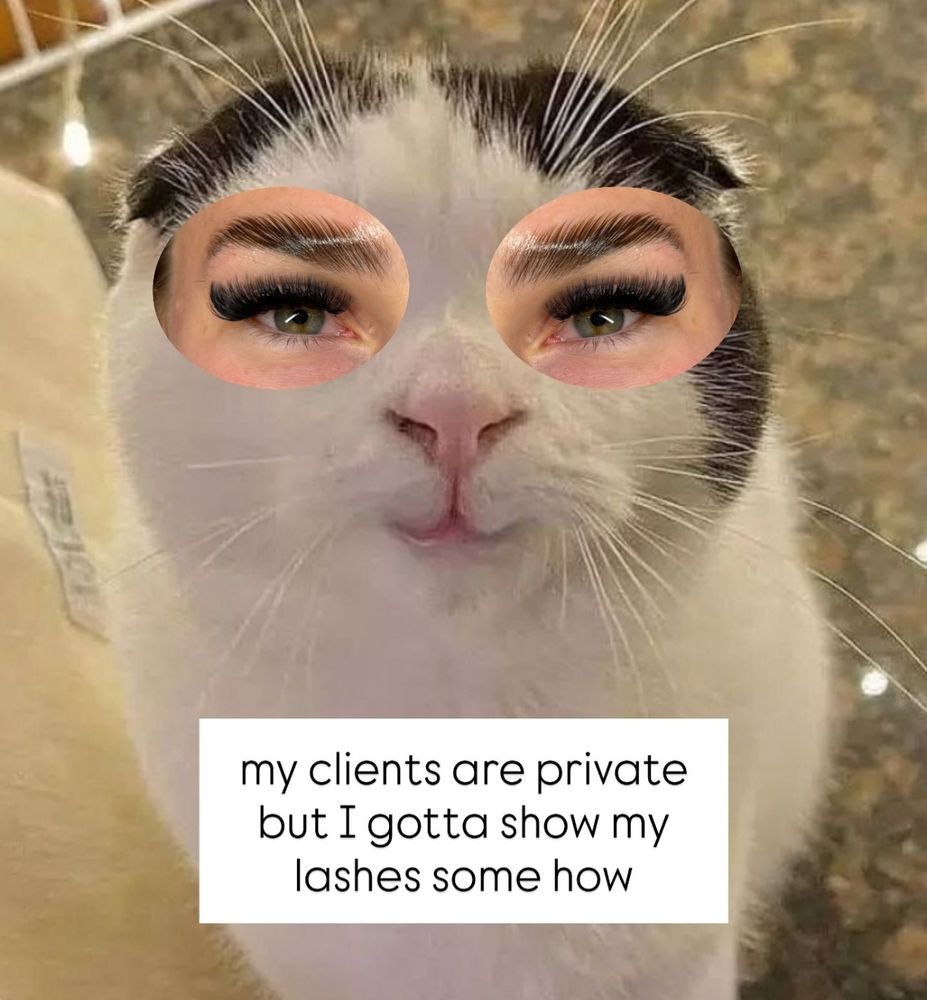 "my clients are private but I gotta show my lashes somehow"

A foto de um gato olhando para a câmera, mas a parte dos olhos têm recortes ovais onde foram coladas as fotos dos olhos da cliente com cílios enormes. Todas as próximas fotos desse post têm essa mesma configuração