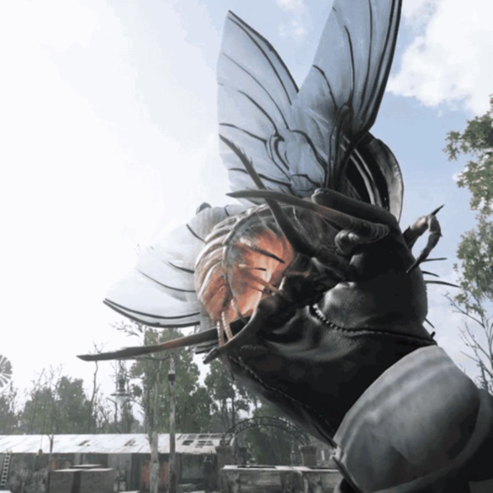 Hunt Showdown Beetle GIF