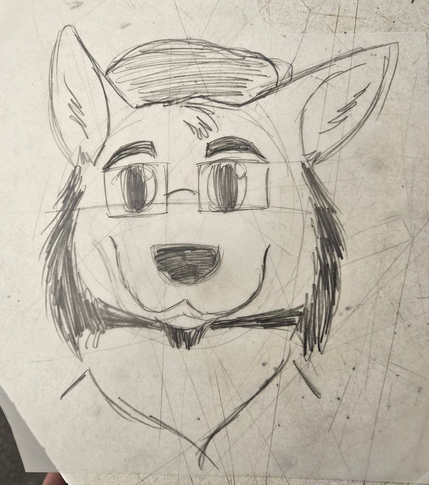 Drawing of a raccoon.