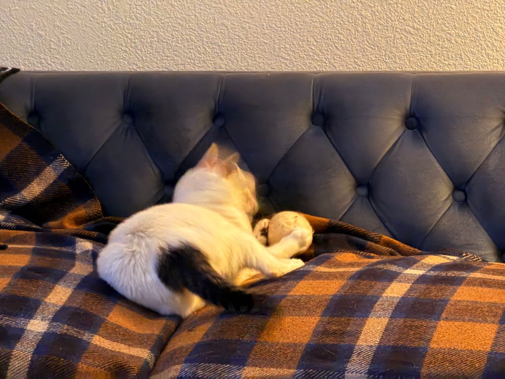 Luna looking like a creepy monster because of motion blur 