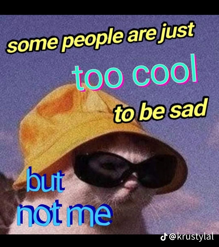 A cat meme. The cat is wearing sunglasses and a yellow hat. It says some people are too cool to be sad but not me.