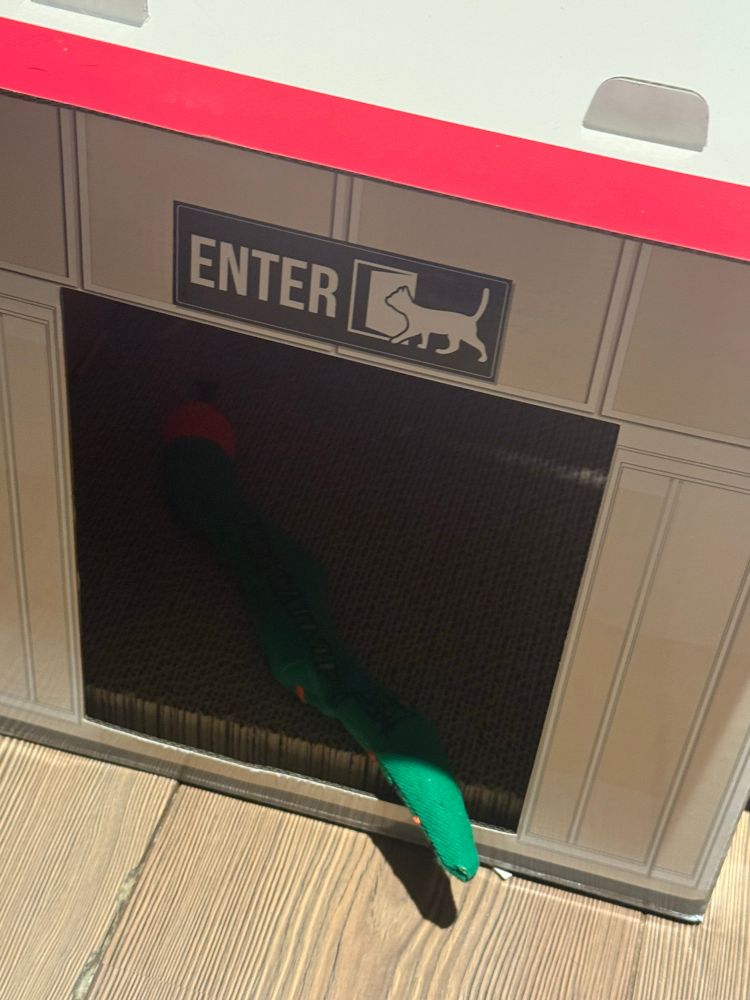 Picture of a green and red toy catnip snake sitting in the cat costco warehouse 