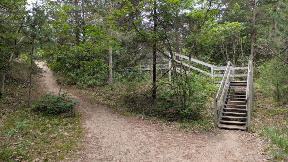 Photo showing a gentle footpath next to stairs on a trail slope