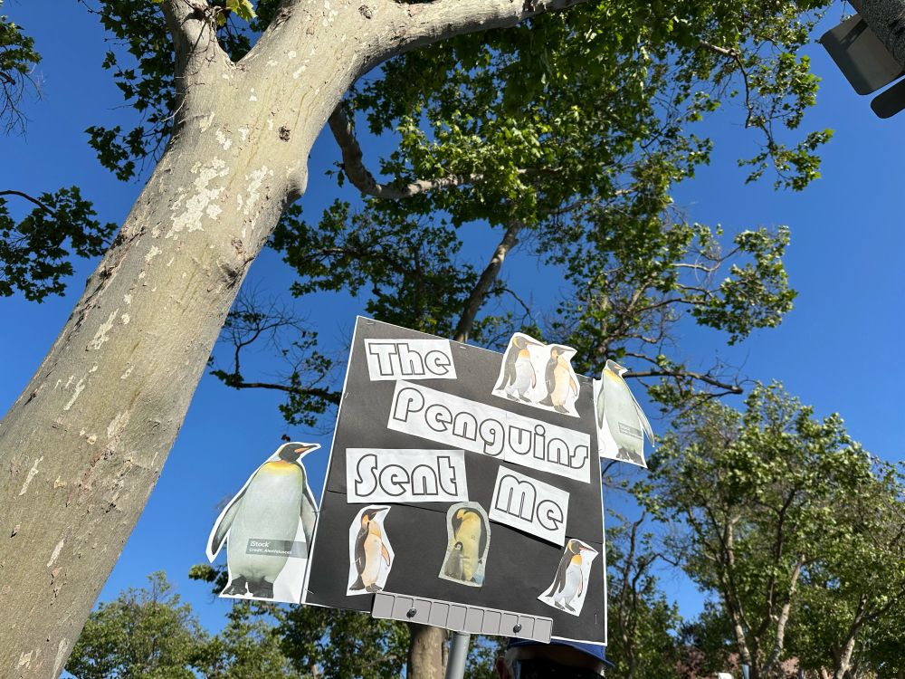 Sign featuring pictures of penguins which reads “The Penguins Sent Me”