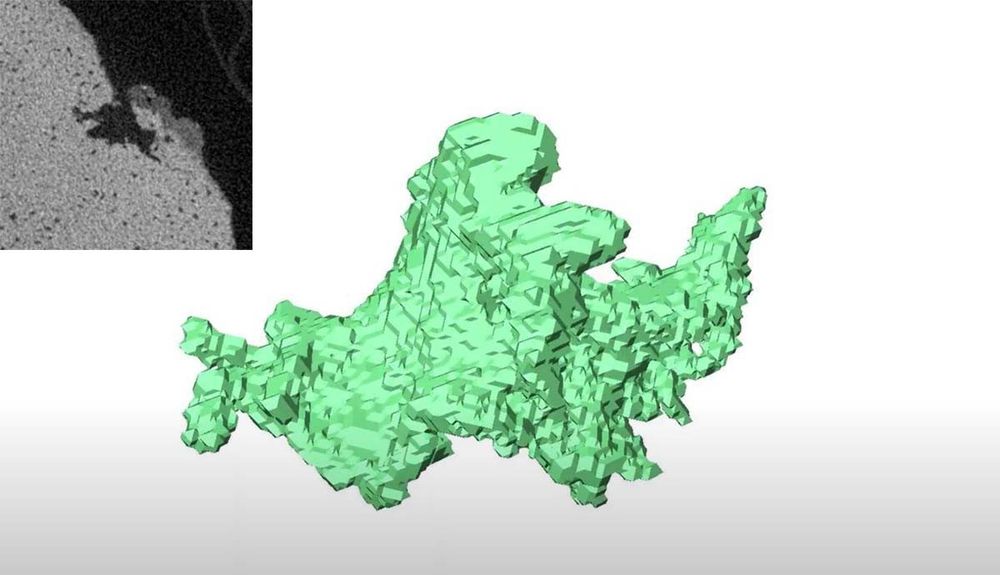 Images of the trace fossil Osspecus eunicefooteae. The inset shows a post mortem burrow in the bone of an fossilised ichthyosaur (from the Cretaceous of the UK) as seen in a slice from a micro X-ray CT scan. The main panel shows a 3D digital model of the burrow made in specialist software (Avizo) by tracing the burrow slice by slice. The burrow is about  2.7 mm across. 
