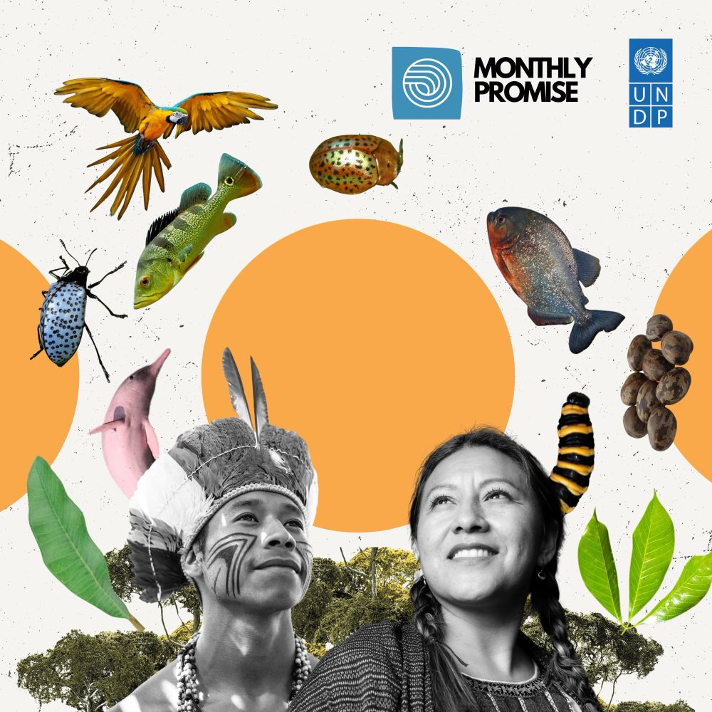 collage of Indigenous Peoples and biodiversity