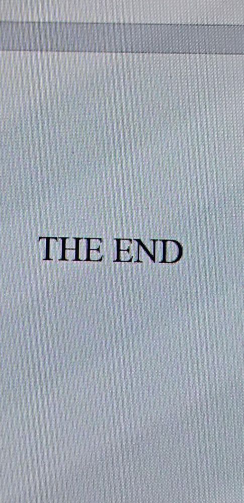 a white screen that reads "THE END" 