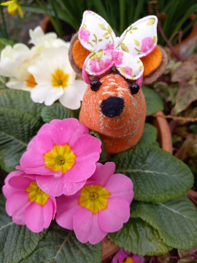 Queek with a pink bow in his hair and sitting next to pink and cream primulas