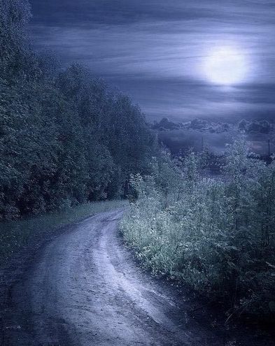 A dirt path going through some trees and brush. It is lit by moonlight.