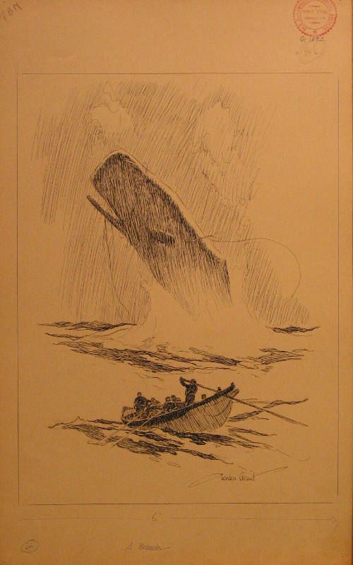 drawing of whale breaching