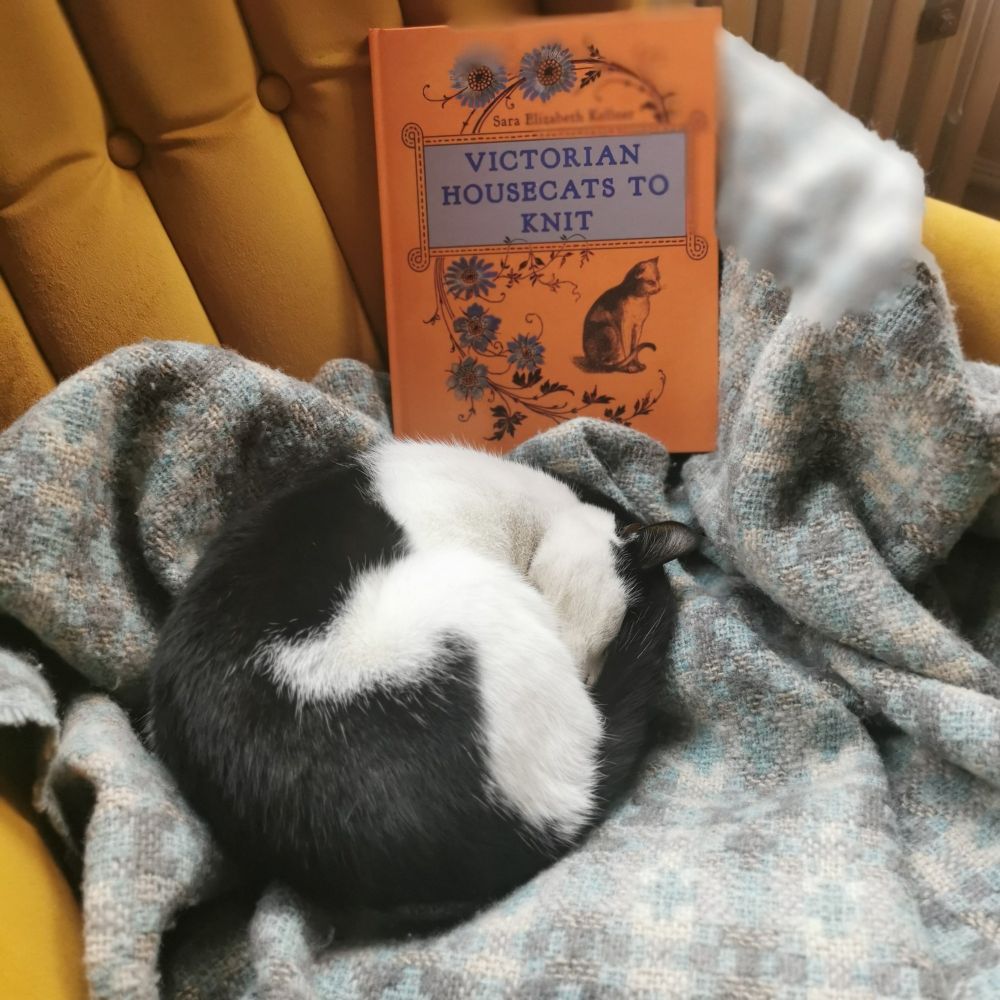 Eddie the small black and white cat is curled up into a ball on a blanket in front of the book 'Victorian Housecats to Knit' by Sara Elizabeth Kellner. 