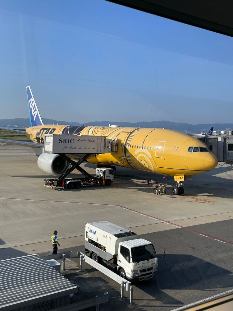 2025年8月に搭乗した、ANAのスターウォーズC3PO塗装のB777