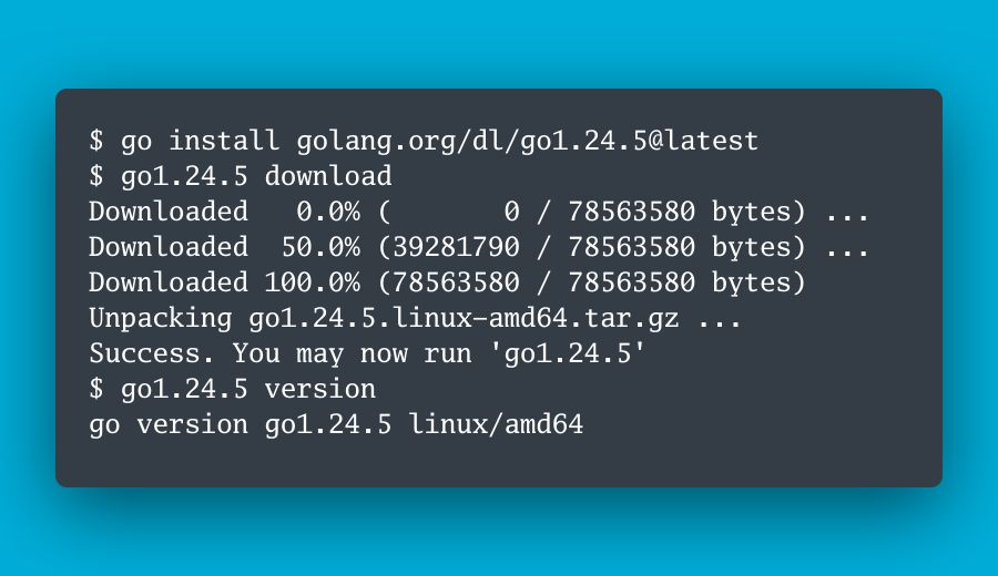 Go 1.24.5
