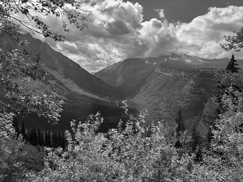 A view down a valley with dramatic clouds, framed by foliate