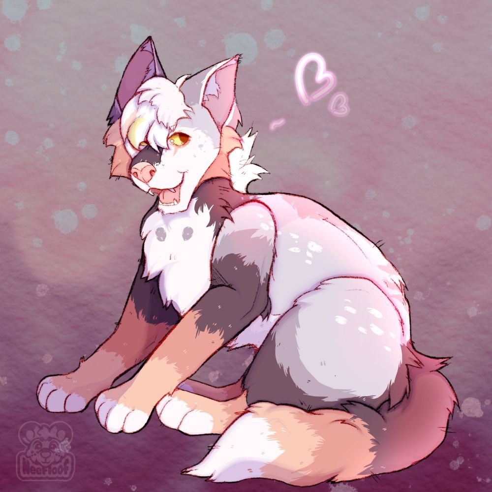 A drawing of a gray and orange fox oc,he is sitting relaxed. Theres two pink hearts beside him.on the canvas