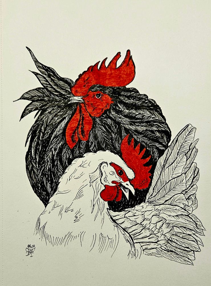 Hahn (schwarz) und Henne (weiß) 