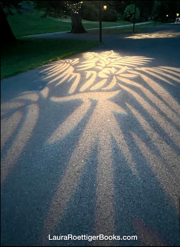 Streetlight pattern at the NYBG photography by Laura Roettiger 