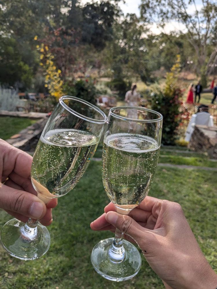 Two glasses of champagne chinking