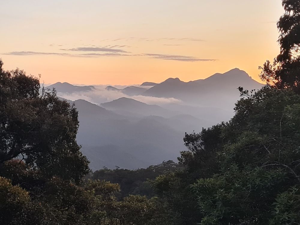 View of rainforest with distant mountains in the Atlantic Forest, Brazil.