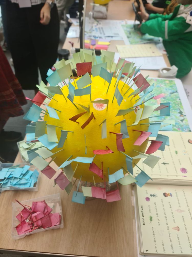 A polystyrene ball that has coloured flags inserted into it representing the opinions of the public on participation in human challenge studies. The ball has been designed to look like a large virus.