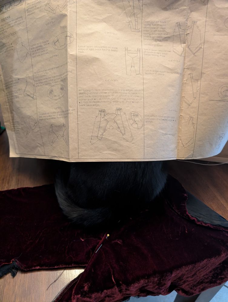 A paper pattern is draped over the just visible back end of a black cat who is sitting on red velvet that has sewing pins in it. She's definitely helping.
